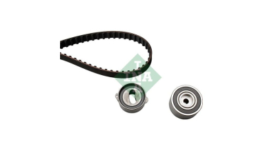 Kit distributie INA 530028010