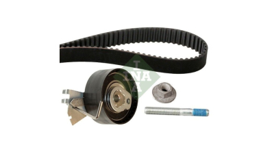 Kit distributie Ina 530033410