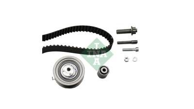 Kit distributie Ina 530034310
