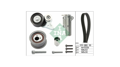 Kit distributie Ina 530036610