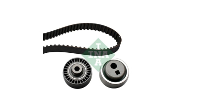 Kit distributie INA 530037010