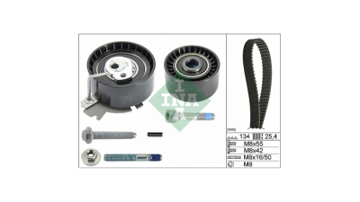 Kit distributie Ina 530037910