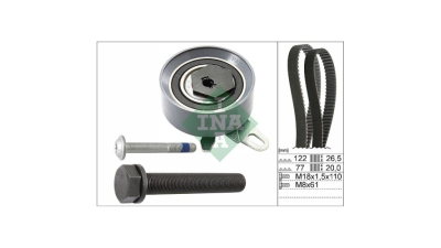 Kit distributie Ina 530040610