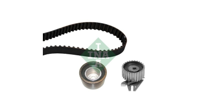 Kit distributie Ina 530043710