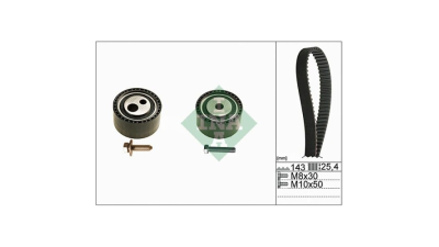 Kit distributie Ina 530044710