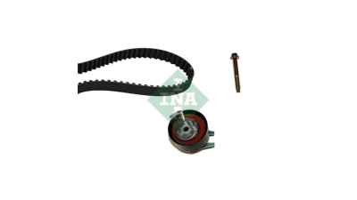 Kit distributie Ina 530047610