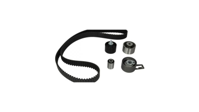 Kit distributie Ina 530050910