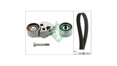 Kit distributie Ina 530054210