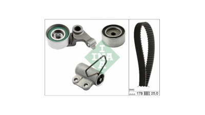 Kit distributie Ina 530054310