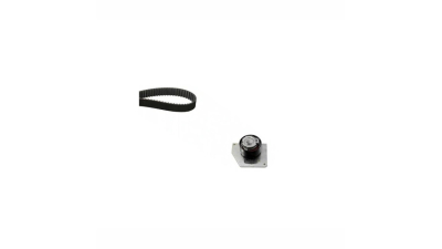 Kit distributie Ina 530057910