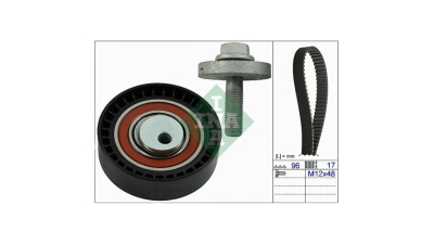 Kit distributie Ina 530060410