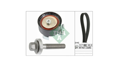 Kit distributie Ina 530060510