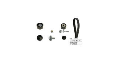 Kit distributie Ina 530063810