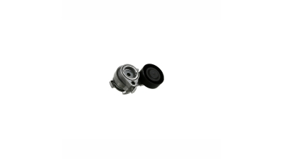 Intinzator curea Bmw Seria 7 (E65, E66, E67), 07.2001-12.2009, X5 (E53), 01.2000-12.2006, INA 534012110