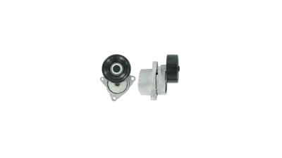 Intinzator curea INA, Nissan Altima (L32), 10.2006-07.2013, Primera (P12), 01.2002-, X-Trail (T30), 01.2001-12.2013, X-Trail (T31), 03.2007-12.2018, Renault Koleos I (Hy_), 09.2008- Motor 2.5, 2.0, 2.0 4x4, 2.5 4x4, 2.5, 
