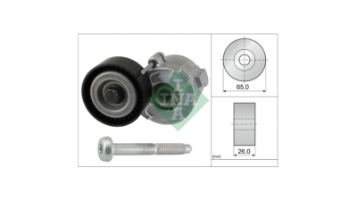 Intinzator curea transmisie INA 534061010