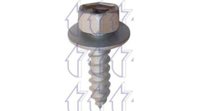 Holsurub metalic TOYOTA AURIS (E15), AVENSIS (T25), COROLLA (E11/E12), COROLLA VERSO (E12J), IQ (AJ1), PREVIA; PRIUS; YARIS fixare scuturi si carenaje, 10 buc la set,