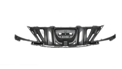 Grila radiator Peugeot 206+ (2 ), 04.2009-, Interior,