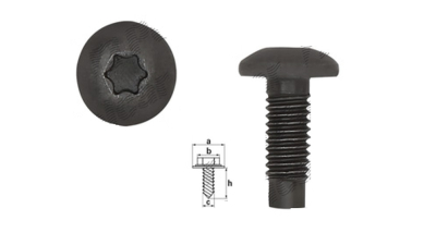 Surub fixare M8 BMW Seria 6/6 GC (F08/F12/F13), Citroen BERLINGO XSARA PICASSO, MINI, Opel MOVANO, Peugeot 307 405 PARTNER, Renault MASTER, multe aplicatii, 5 buc/set, multe aplicatii