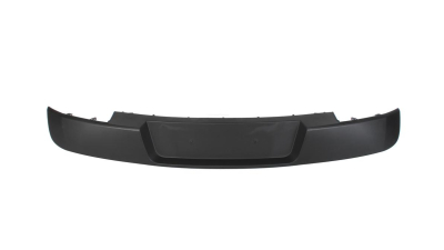 Ornament bara spate Renault Megane 2 (M), 11.2002-12.2005, aluminiu, 8200142820