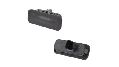 Maner haion cu comutator RENAULT MEGANE II (M), 11.2002-10.2008; SCENIC (JM), 06.2003-2009