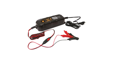 Incarcator baterie inteligent 3.8A Carpoint