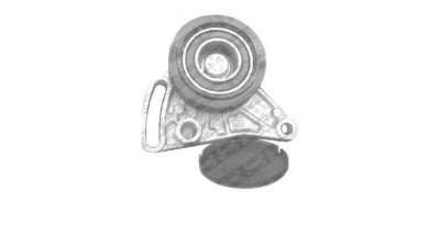 Rola intinzator curea alternator Audi A4 A6 Skoda Superb 1.9 Vw Passat 3B 1.6/1.8/1.9/2.0 cmc SNR