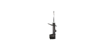 Amortizor Citroen C4 2 (B7), 02.2009-; Peugeot 5008 (0u, 0e), 06.2009-03.2017, Parte montare Fata, MAGNETI MARELLI 357257070100