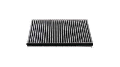 Filtru polen carbon, habitaclu Mercedes Viano (W639), Vito (W639) Aster