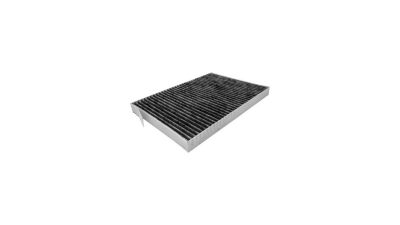 Filtru polen carbon, habitaclu Renault Koleos (Hy) Aster