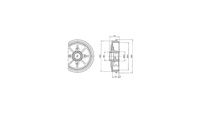 Tambur frana Delphi BF484, parte montare : Punte Spate