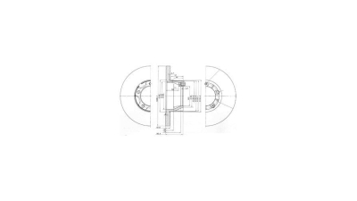 Disc frana Delphi BG2163, parte montare : Punte Fata