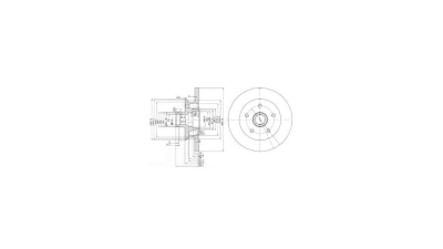 Disc frana Delphi BG2468, parte montare : Punte Fata