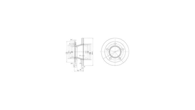 Disc frana Delphi BG2494, parte montare : Punte Fata