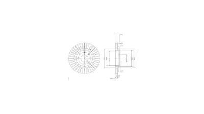Disc frana Delphi BG2636, parte montare : Punte Fata