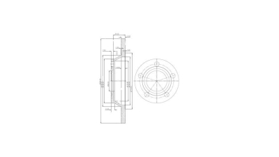 Disc frana Delphi BG2987, parte montare : Punte Fata