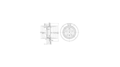 Disc frana Delphi BG3042, parte montare : Punte Spate
