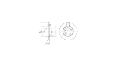Disc frana Delphi BG3071, parte montare : Punte Fata