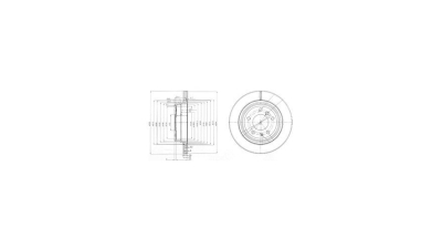 Disc frana Delphi BG3214, parte montare : Punte Spate