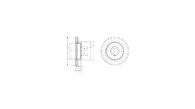 Disc frana Delphi BG3659, parte montare : Punte Fata