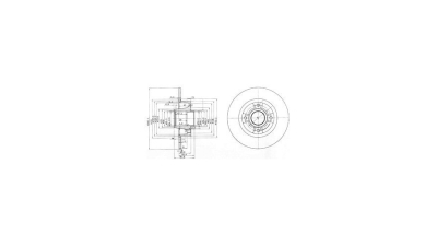 Disc frana Delphi BG3888, parte montare : Punte Spate