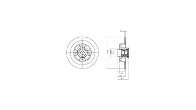 Disc frana Delphi BG9028RS, parte montare : Punte Spate