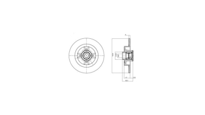 Disc frana Delphi BG9030RS, parte montare : Punte Spate