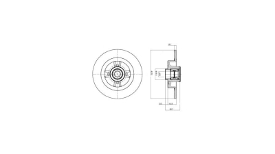 Disc frana Delphi BG9032RS, parte montare : Punte Spate