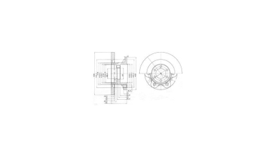 Disc frana Delphi BG9722, parte montare : Punte Fata