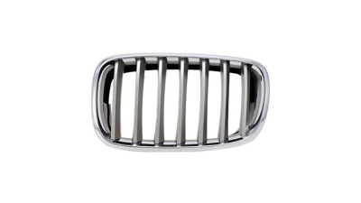 Grila radiator Bmw X5 (E70), 10.2006-04.2010, X6 (E71 E72), 01.08-12.13 dreapta, titan 51137185224 originala