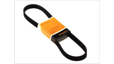 Curea transmisie CONTITECH 6PK1750 Ford Fiesta 4 (Ja, Jb) Fiesta Caroserie (J5, J3) Puma (Ec) Zeta (220) Compass (Mk49) Ulysse (220) Xsara Cupe (N0) Xsara Break (N2) Xsara (N1) 406 (8B) Berlingo (Mf) 