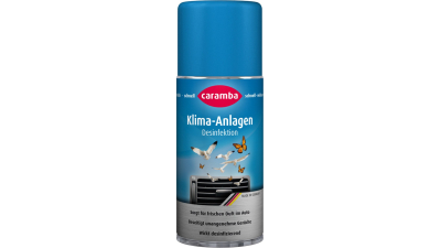 Spray curatare sistem de aer conditionat Caramba 100ml