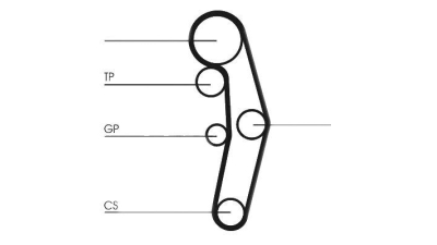 Curea de distributie CONTITECH CT1028 Vw Bora (1J2) Bora Combi (1J6) Toledo 3 (5P2) Fabia Combi Fabia (6Y2) Transporter 5 Platou / Sasiu (7Jd, 7Je, 7Jl, 7Jy, 7Jz, 7Fd, Fabia Fabia Combi (6Y5) Toledo 2