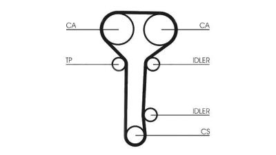 Curea de distributie CONTITECH CT978 Mazda Tribute (Ep) Mondeo 2 (Bap) Mondeo 2 Combi (Bnp) Mondeo 2 Limuzina (Bfp) Tourneo Connect Focus (Daw, Dbw) Cougar (Ec) Focus Combi (Dnw) Focus Limuzina (Dfw) 